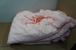 lot 127 image: Janzaa Twin Vintage Style Comforter Set - Blanket & Pillowcase - Pink