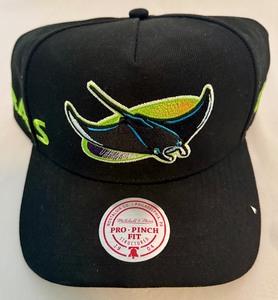 lot 177 image: Tampa Bay Devil Rays NEW Mitchell & Ness Snapback Baseball Hat ($45 Retail)