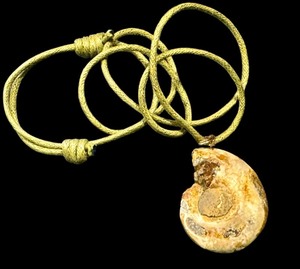 lot 30JJ image: Ammonite Fossil Pendant with Cord Necklace