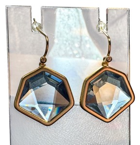lot 15C image: Kendra Scott Hexagon Crystal Earrings with Gold-Tone Finish