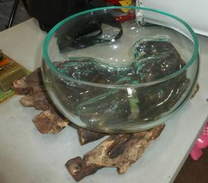 lot 100 image: A unique fish bowl aquarium