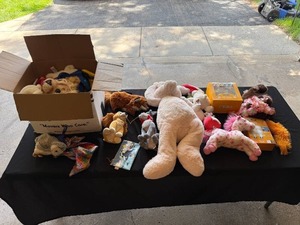 lot 40 image: Collection of Stuffed Animals, Craft Kit, and More