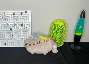lot 205 image: Collection of Decorative Items Lava Lamp, Pusheen Plush, and more.
