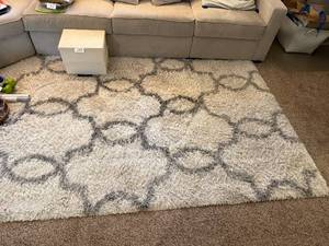 lot 74 image: Shag Area Rug - contlents onaround rug are NOT inc