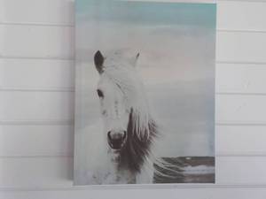 lot 13 image: Canvas Horse 18 x 14 Picture...
