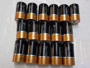 lot 256 image: 16 Duracell D Batteries...