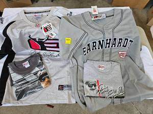 lot 110C image: Dale Earnhardt #3 - Vintage NASCAR Apparel
