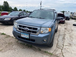 lot 12 image: 2010 Ford Escape