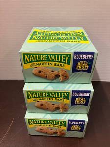 Blueberry Muffin Bars