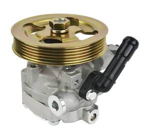 lot 101K image: Brand New Torchbeam Power Steering Pump