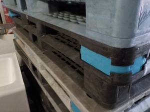 lot 258 image: 3 Heavy Duty Plastic Pallets...
