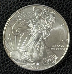 lot 164 image: 2013 American Silver Eagle 1 oz Fine Silver Coin