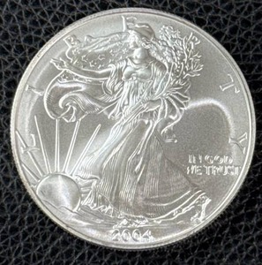 lot 169 image: 2004 1 oz American Silver Eagle Bullion Coin