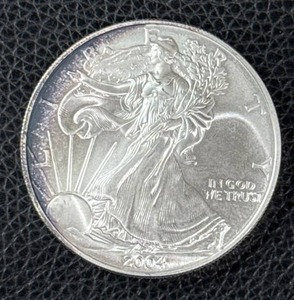 lot 170 image: 2002 1 oz American Silver Eagle Coin with Toning