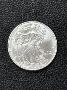 lot 213 image: 2004 American Silver Eagle 1 oz Coin