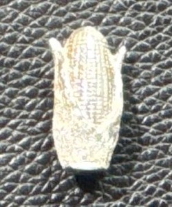 lot 35 image: .999 Silver 0.35oz Corn Cob