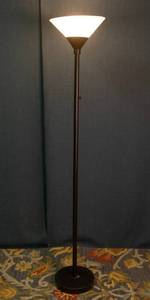 lot 9 image: Dimmable Dark Bronze Floor Lamp