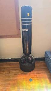 lot 153 image: Dripex Freestanding Punching Bag, Black, with Stability Springs, boxing gloves included.