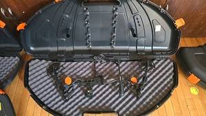 lot 160 image: Sanlida Dragon X8 Compound Bow, Flambeau Hard Case Included, Black