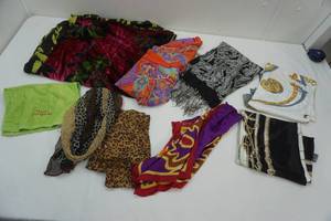 lot 166 image: Silk Scarves Lot