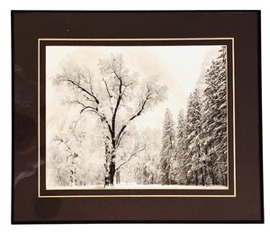 lot 421 image: Wall Art el Capitan Meadow Yosemite 1948
