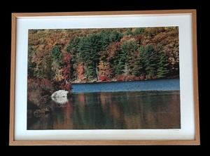 lot 369 image: Harriman State Park, New York Photographic Print by Linda Bold