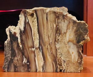 lot 733 image: Gorgeous Heavy Petrified Wood Polished Slab (1 Bookend)