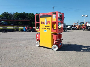 lot 10 image: 2018 Wolf Model 3020 AE Vertical Mast Lift