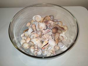 lot 43 image: Large Bowl Filled with Shells