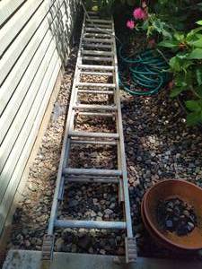 lot 316 image: Extension Ladder