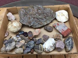 lot 327 image: Group Fossils - Quartz - Geode - Agate - Minerals