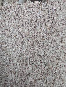 Dixie Home Beige Fleck Carpet - 12' x 135' - 1620 sq. ft.