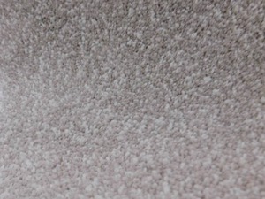 Dixie Home Magnetic #1 Carpet  - 12' x 101' - 1212 sq. ft.