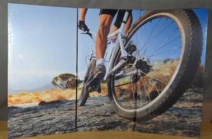 lot 269 image: Brand New 3 pc Mountain Biking Canvas Wall Art 28 x 14