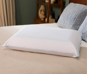 lot 316 image: Brand New Tempur-Pedic Tempur Cloud Dual Cooling Pillow King $179.99 Retail
