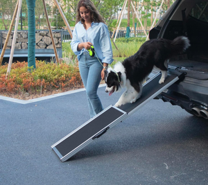 lot 356 image: Brand New Aluminum Pet Ramp Ladder Portable 2 Step Design Non Slip $62.95 Retail
