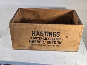 lot 177 image: Hastings Wooden Crate for Easter Lily Bulbs