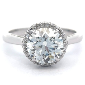 lot 4 image: 2.38 Carat Diamond PavHalo Fancy Gallery Ring in 14k White Gold VIDEO