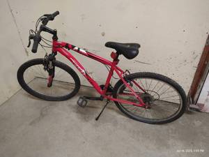 Schwinn Badger Bike