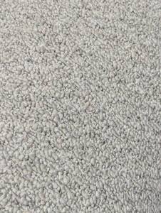Hartsfield - Skypoint - Beige 12 ft x 90ft. 16 oz. SD Polyester Texture Full Roll Carpet (1080 sq. ft./Roll)(Estimate)