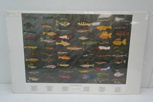 lot 2 image: Michael D. Dunn Print. 2000. 20x32