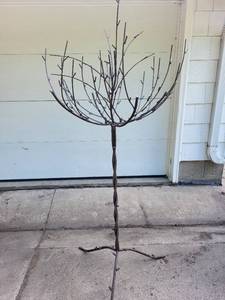 lot 89 image: Large Metal Tree Sculpture for Outdoor Decor