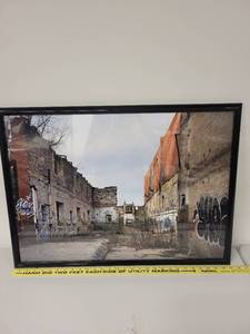 lot 6P image: Set of 2 Framed Art Pieces Urban Ruins Photography and Cats ABC Poster