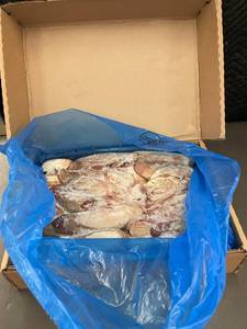 lot 41 image: F - Frozen Unscalded Pork Tongue 22.5 LBs