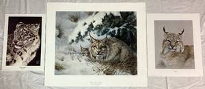 lot 68 image: Wild Cat Unframed Print Bundle featuring Snow Leaopard by Al Agnew, Bobcat by Skirka, Snow Cave - Lynx by Nancy Glazier