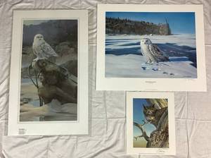 lot 73 image: Owl Print Bundle Featuring Bruce Miller - Split Rock Snowy, Don Kloetzke - Who Me, Mario Fernandez - Sea Maiden