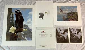 lot 77 image: Unframed Eagle Prints Eagle Sketch and (2)Dawn of a New Generation by Derk Hansen, Pepin Heights - Bald Eagle by Wayne Meineke, and American Bald Eagle by Guy Coheleach