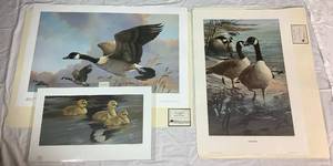 lot 25 image: Mario Fernandez Canadian Goose Bundle - Includes 3 Unframed Prints (Loves Reflection, The Wanderers, and Shorline Solitude)