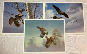 lot 24 image: Trio of David Maass Unframed Prints - Includes Ruffed Grouse Pair, Canada Geese Pair, Bobwhite Quail Pair