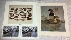 lot 36 image: Collection of Duck and Decoy Prints Includes (2) Fickle Springtime-Wood Ducks by Jim Kasper, Burning Through by James A Meger, and Mergansers by James Bay Company